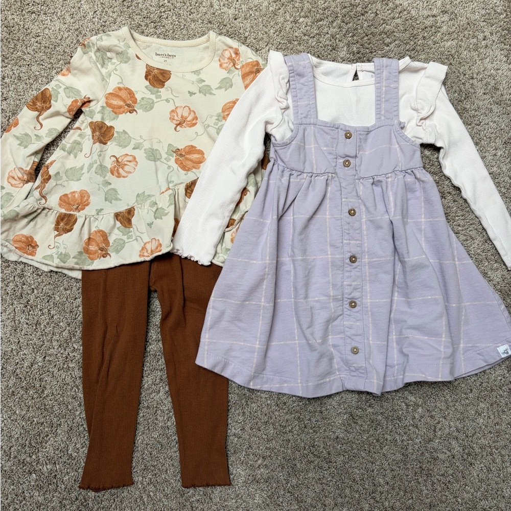 Burt's Bees Kids Set of Two 2T Outfits